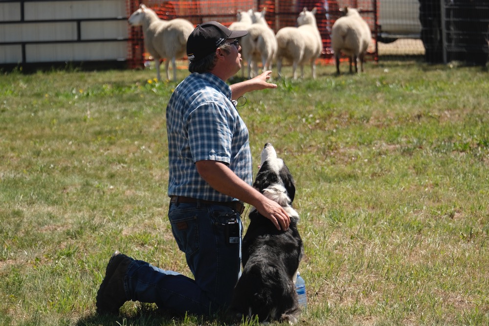 Jared Epp speaks to the crowd at AiM 2022 about stock dogs and herding. (Liam O’Connor photo)
