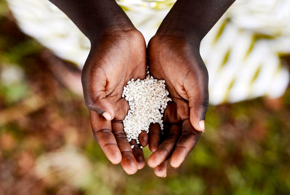 Photo: Thinkstock
