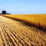 Photo: iStock