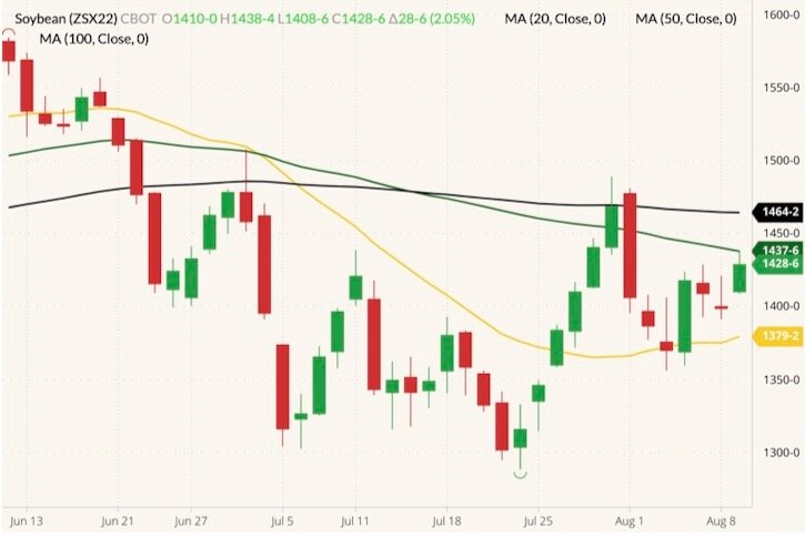 CBOT November 2022 soybeans (candlesticks) with 20-, 50- and 100-day moving averages (yellow, green and black lines). (Barchart)
