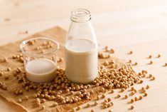 File photo of soy-based milk alternatives. (SherSor/iStock/Getty Images)
