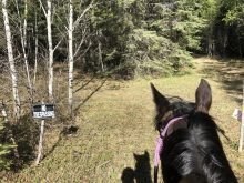 A no-trespassing sign on a pasture fence in northwestern Saskatchewan.