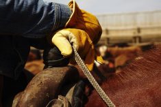 ‘We doubt these bureaucrats knew enough to comprehend this rule’s demands on agriculture. They certainly don’t understand weather and the cattle business.’ – Steve Dittmer.