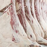 A side of beef. The grading system is the common language of the industry, writes Charlie Gracey.