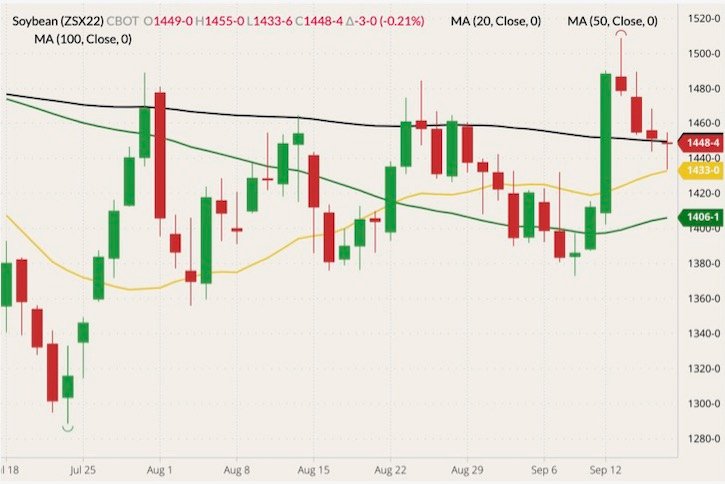CBOT November 2022 soybeans (candlesticks) with 20-, 50- and 100-day moving averages (yellow, green and black lines). (Barchart)
