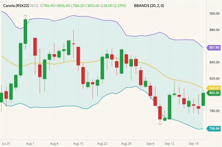 ICE November 2022 canola (candlesticks) with Bollinger bands (20,2). (Barchart)

