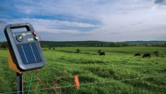 Electric fence allows producers to manage their land and cattle at the same time, says Garth Hein.