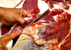 According to the USDA, Spain’s meat industry has a turnover of more than US$30 billion.