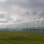File photo of greenhouse food production systems in British Columbia. (KarenMassier/iStock/Getty Images)