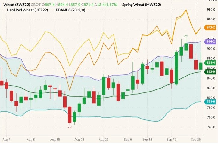 CBOT December 2022 soft red winter wheat (candlesticks) with Bollinger bands (20,2), MGEX December 2022 hard red spring wheat (yellow line) and K.C. December 2022 hard red winter wheat (orange line). (Barchart)
