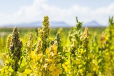 (Keshin/iStock/Getty Images)
