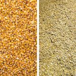 Markets adjusting to barley, corn production estimates