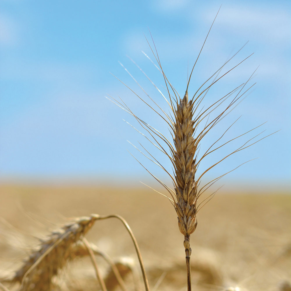 Photo: Thinkstock
