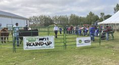 The show ring at the Manitoba Beef Youth Round-up.