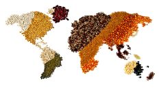 ‘I’m in favour of scientific research on a pilot project scale. Experimenting with national and global food supplies? No.’ – Steve Dittmer.