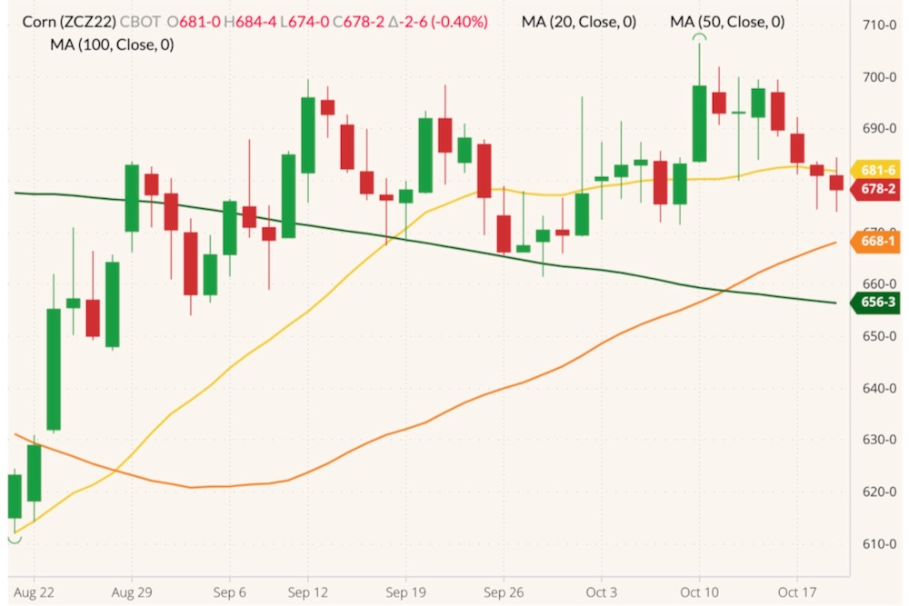 CBOT December 2022 corn (candlesticks) with 20-, 50- and 100-day moving averages (yellow, orange and dark green lines). (Barchart)
