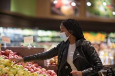File photo of the produce section at a Canadian grocery store. (FatCamera/E+/Getty Images)
