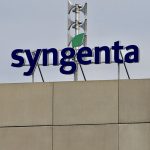 Syngenta’s headquarters in Basel, Switzerland, August 2019. Photo: Reuters/Arnd Wiegmann