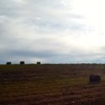 When it comes to storing forage crops, not all storage methods are created equal.
