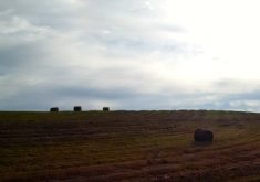 When it comes to storing forage crops, not all storage methods are created equal.