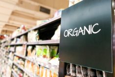 The general manager of a pulse processing plant in Saskatchewan predicts “stability” in organic markets for 2023.  Photo: Getty Images
