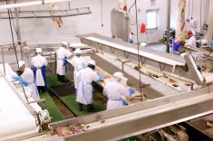 U.S. adds packing plant capacity