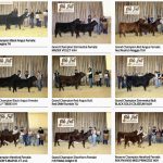 Olds Fall Classic show results