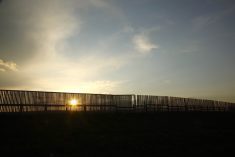 Canada’s beef cow inventory has declined for the third consecutive year and is at its lowest since 2015.