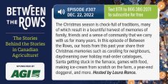 This week on ‘Between The Rows’