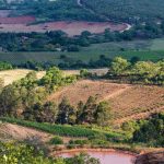 File photo of vineyards and countryside at Samaipata in the foothills of the Bolivian Andes. (Jef Wodniack/iStock/Getty Images)