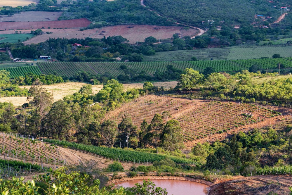 File photo of vineyards and countryside at Samaipata in the foothills of the Bolivian Andes. (Jef Wodniack/iStock/Getty Images)
