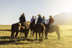 It&rsquo;s important for producers to have a support network when it comes to things like succession planning, says Elaine Froese.