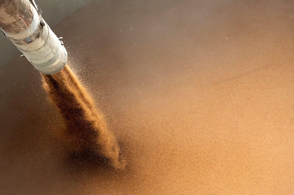Wheat being loaded onto a cargo ship in Vancouver in 2011. (File photo: Reuters/Ben Nelms)
