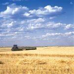 Given the tighter fundamentals for the 2022-23 crop year, the barley market must encourage acreage this spring.