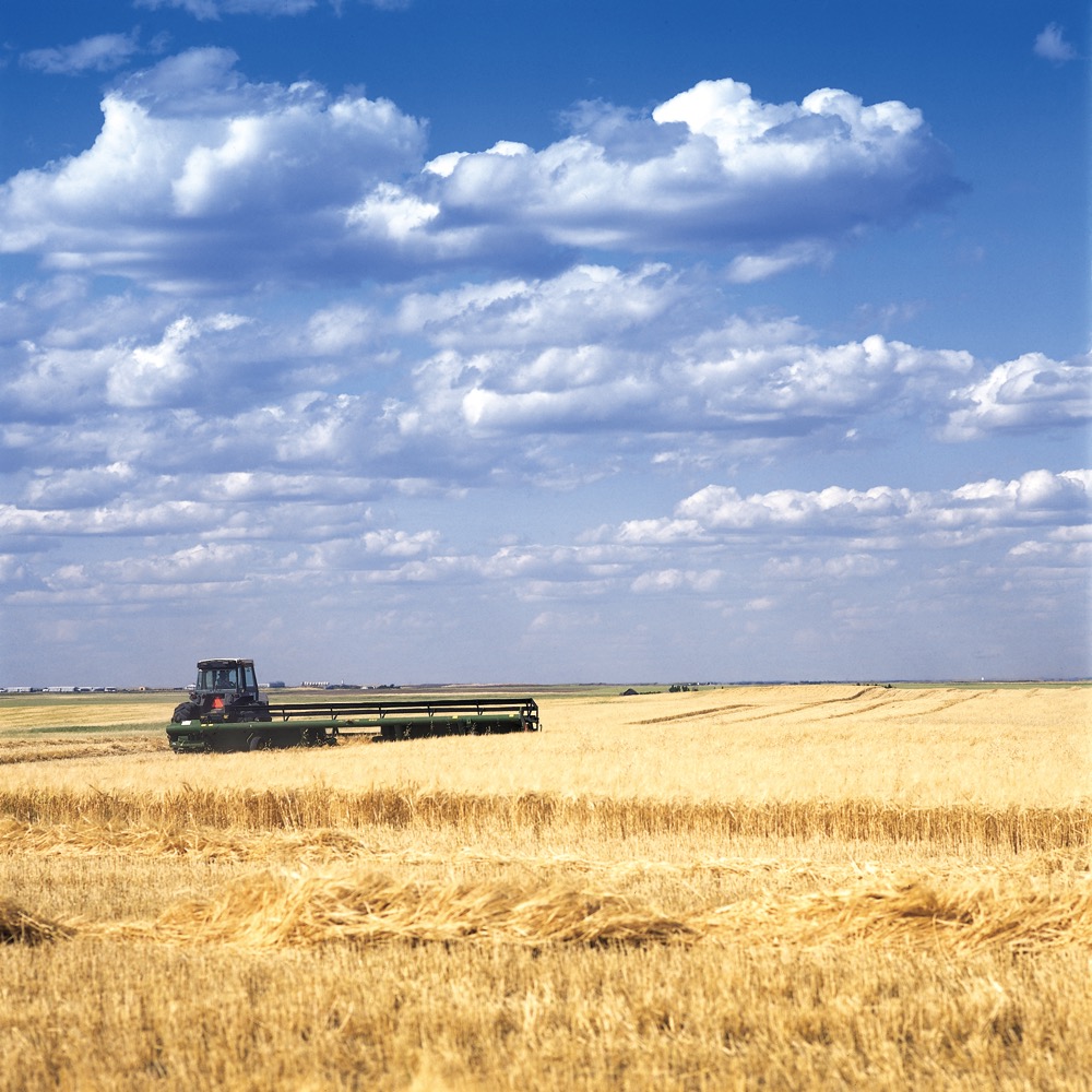 Given the tighter fundamentals for the 2022-23 crop year, the barley market must encourage acreage this spring.