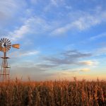 File photo of a cornfield in Argentina. (Reisegraf/iStock/Getty Images)