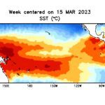 Pacific Ocean sea surface temperatures in degrees Celsius for the week centred on March 15, 2023. (CPC.ncep.noaa.gov)