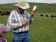 Whether to use risk-based vaccines in your herd requires careful thought and at least a yearly discussion with your herd veterinarian.