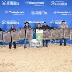 Payne Livestock.