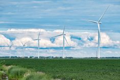 File photo of a field of soybeans under turbines at southern Manitoba’s St. Joseph wind farm. (Dougall_Photography/iStock/Getty Images)