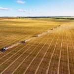 File photo of a wheat harvest in Kazakhstan. (Yerbolat Shadrakhov/iStock/Getty Images)