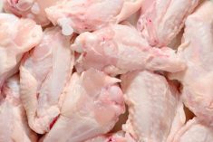 File photo of uncooked chicken wings. (Mimadeo/iStock/Getty Images)
