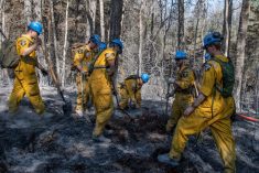 Members of the Third Princess Patricia’s Canadian Light Infantry (3PPCLI) take part in wildfire prevention operations near Grande Prairie, Alta. on May 12, 2023. (Photo: MCpl, Cass Moon/Canadian Forces/Handout via Reuters)