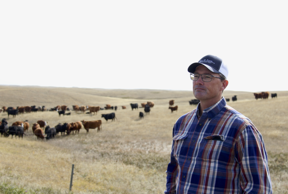 Mark Hoimyr stands in front of his cattle as he addresses attendees at the Canadian Farm Writers Conference in September of 2022.