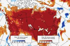 Forecast probability of above- or below-normal temperatures for the period from May 29 to June 26, 2023. Map issued May 25, 2023. (Map: Environment Canada)
