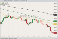 ICE July 2023 canola with 20-, 50- and 100-day moving averages. (Barchart)