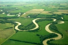 File photo of northern Alberta farmland. (Wonganan/iStock/Getty Images)
