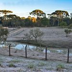Frost on land in Brazil’s Santa Catarina state. (Edson Hardt/iStock/Getty Images)