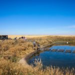 The Olds College Smart Farm team getting the floating islands assembled and into the water.