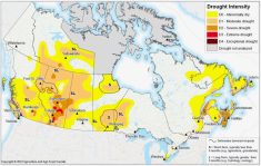 AAFC’s Drought Monitor map as of May 31, 2023.
